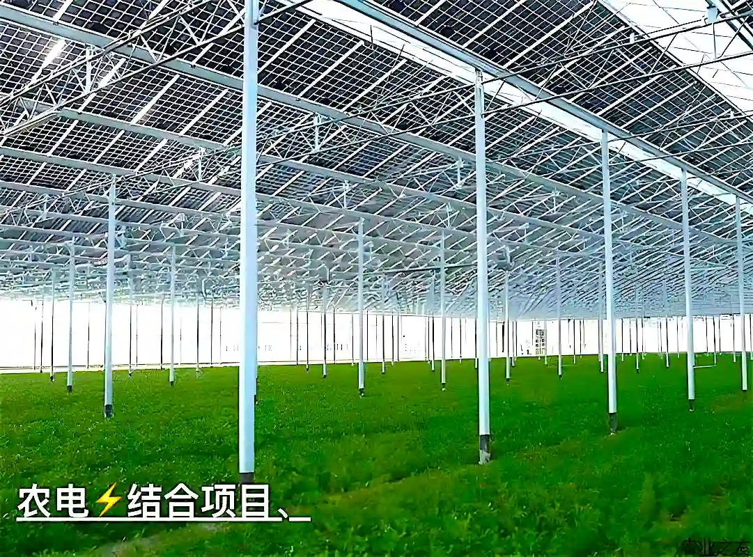 海外新エネルギープロジェクト